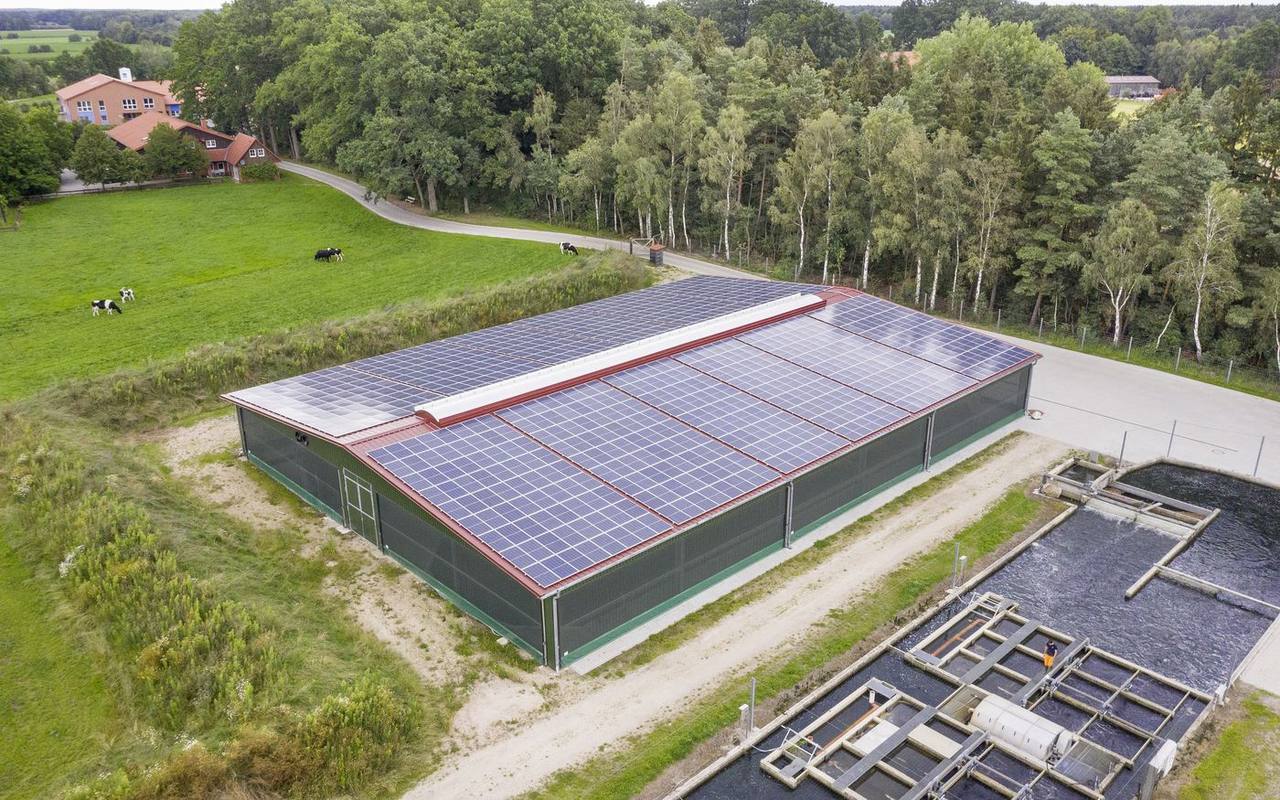 Photovoltaikanlage auf einem Betriebsgebäude
